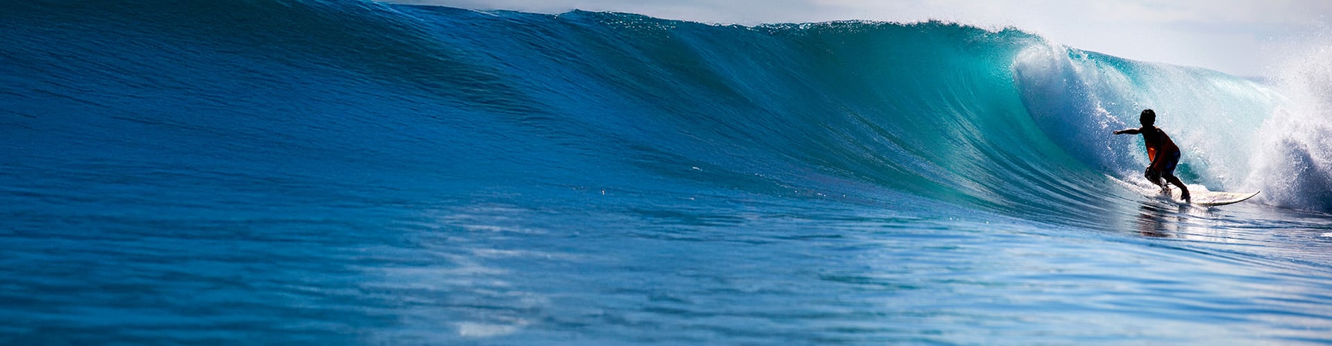 Surfer