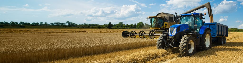 Yellow combine harvester and blue tractor ploughing field of hay on sunny day